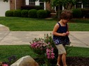 Lilly in the Flowers