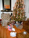 Lilly on Christmas Morning