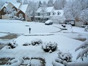 Front Yard on 12/26