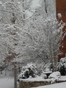Flower Bed with Snow