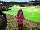 St. Patricks Day