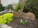 Spring Garden