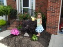 More Flowers