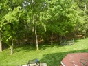 Before the pool 2
