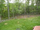 Trees down