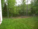 Trees down 2