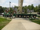 The Crane