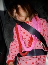 The Drive Home