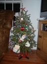 Lilly's Tree
