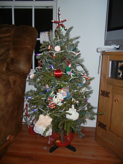 Lilly's Tree