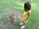 Mini Stump