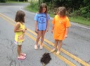 Road Kill