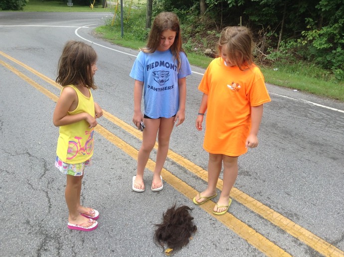 Road Kill
