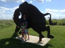 The Buffalo