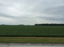 Welcome to IA
